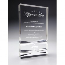 Acrylic Awards-AMA-28