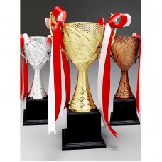 	Plastic Trophy-AMTC-29P