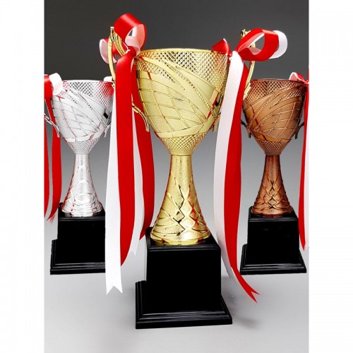 	Plastic Trophy-AMTC-29P