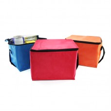 Trendy Insulated Cooler Bag 