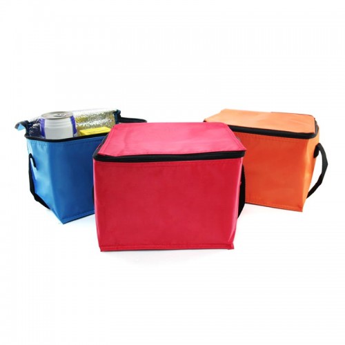 Trendy Insulated Cooler Bag