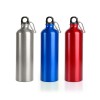 Aluminium Alpint Bottle