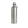 Aluminium Alpint Bottle