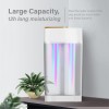 800ML HUMIDIFIER WITH COLOR NIGHT LIGHT