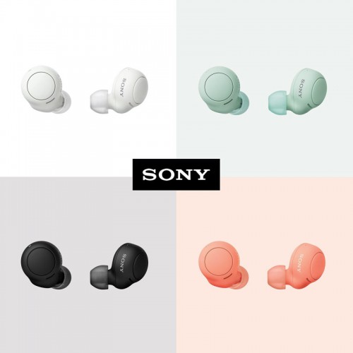SONY WF-C500 Truly Wireless In-Ear Bluetooth Earbud Headphones