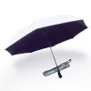 2 Fold, Windproof, Foldable Golf Umbrella