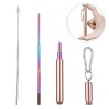 Portable Stainless Telescopic Straw