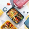 Microwave Safe Eco-Friendly Lunch Bento Box