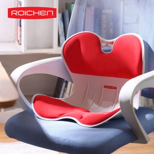 Roichen Basic Ergonomic Chair